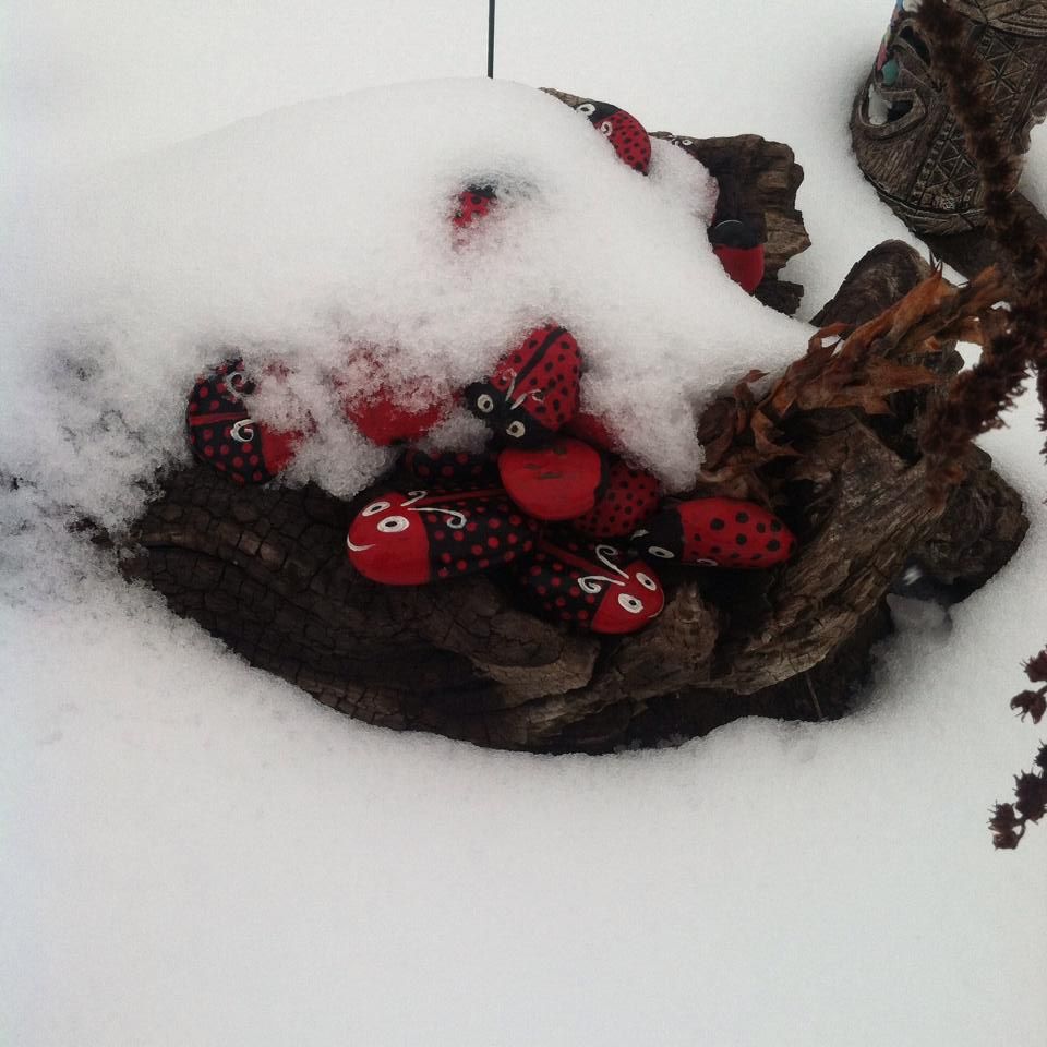 Snow